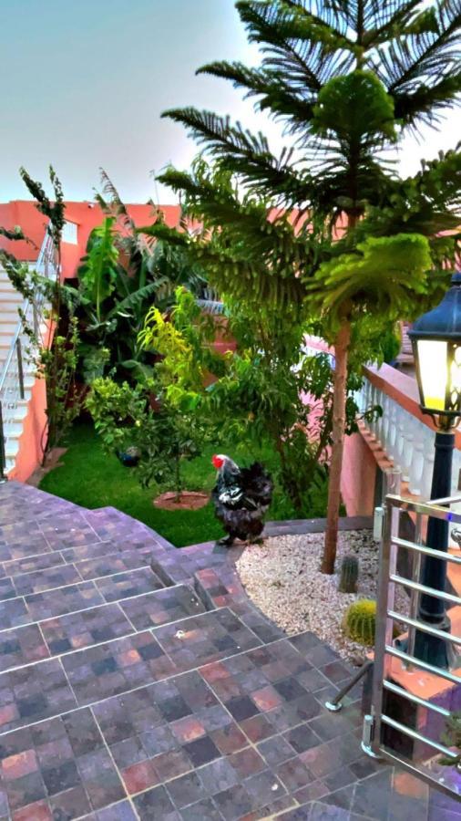 Hotel Riad Dar Salam Agadir Zewnętrze zdjęcie